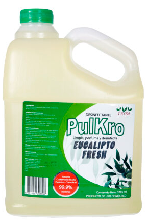 Eucalipto Galón